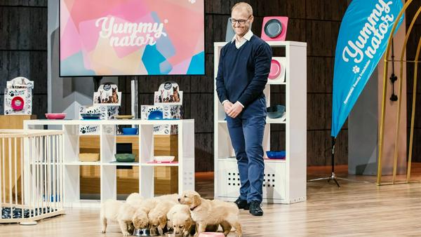 Die Hundewelpen stehlen Marcus König die Show