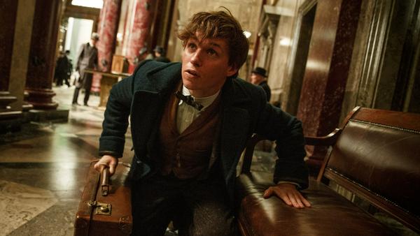 Newt Scamander spielt auch im zweiten Teil von