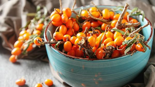 Sanddorn mangelt es nicht an Vitamin C