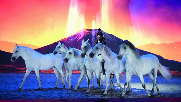 Eine Szene aus der Show "Equila"