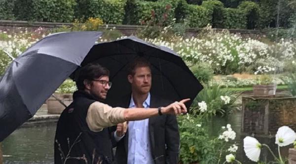 Prinz Harry inmitten des weißen Blumenmeers - 12.000 Blüten sind es insgesamt